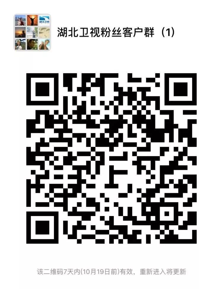 湖北政务服务网官网办理进度查询,湖北互联网公安政务服务平台官网
