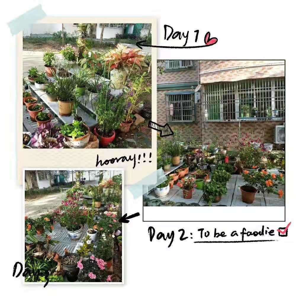 白沙绿色家庭,白沙绿色家园