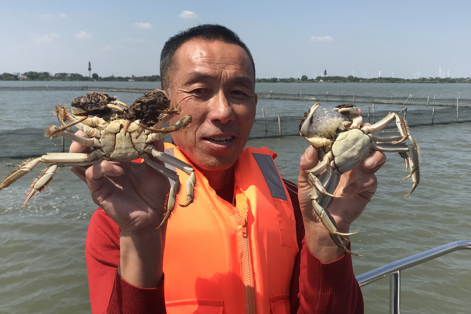 让路环保，户口难上，纸蟹横飞