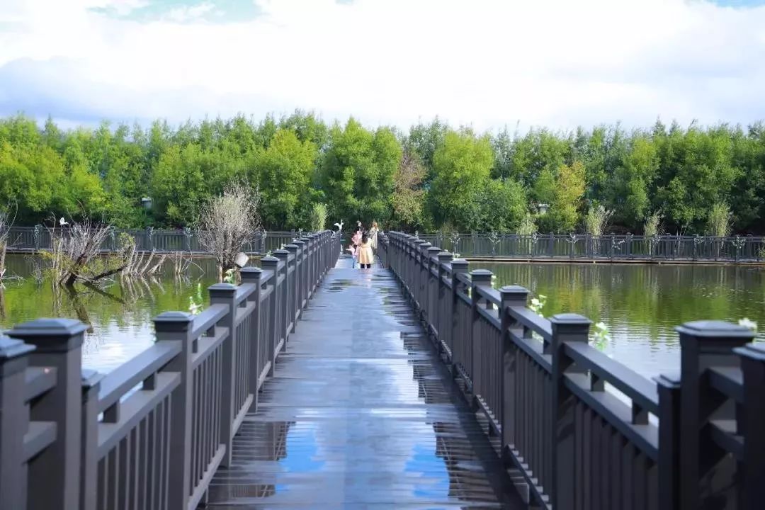 拉市海候鸟湿地公园在哪里,拉市海湿地公园和归来公社