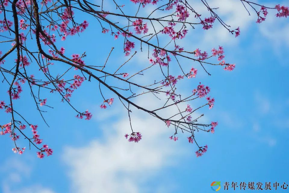 农大在哪里啊,农大在哪呢