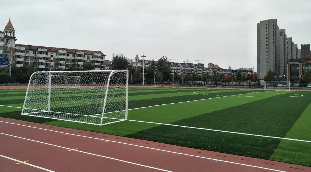 天津市今天新增的新消息,2020天津免费开放体育场