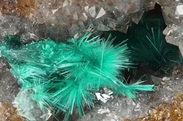 谁还不是个小可爱呢下一句,谁还不是小可爱