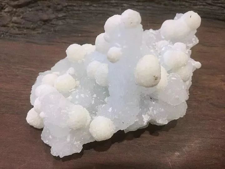 谁还不是个小可爱呢下一句,谁还不是小可爱