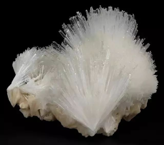 谁还不是个小可爱文案,谁小时候还不是个小可爱