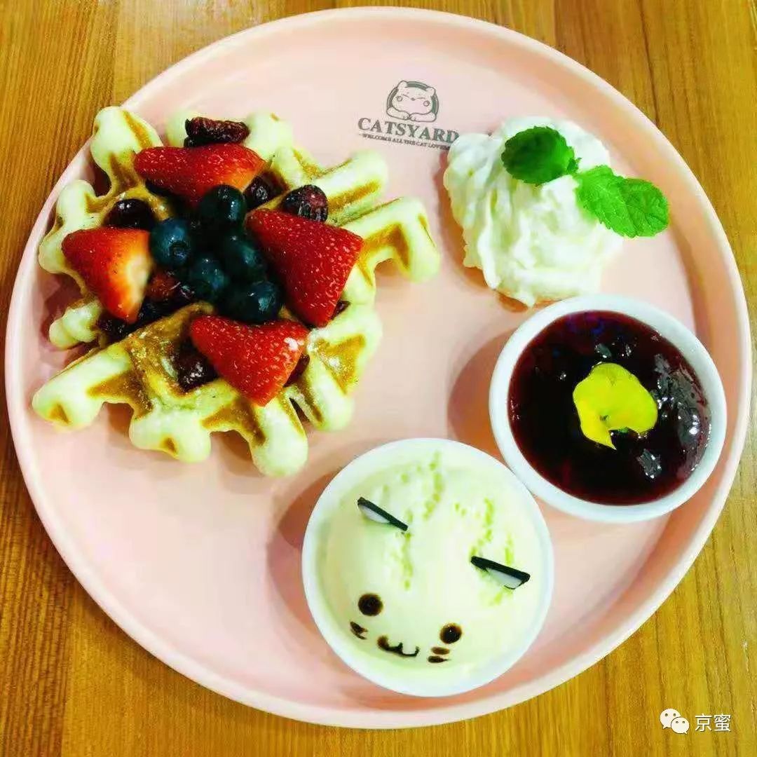 北京大型撸猫馆推荐,三里屯撸猫的地方