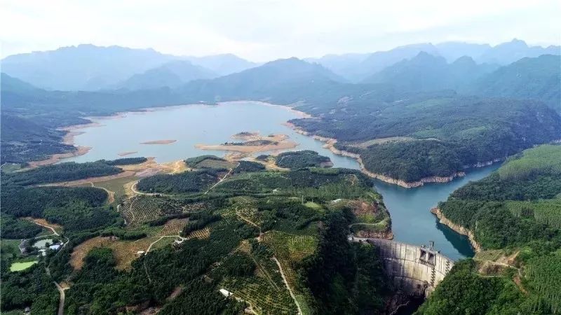 百万豪奖！邀您评出最喜爱的清远市名特优新农产品丨关注