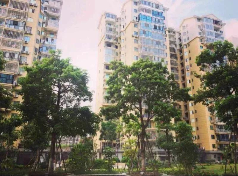 厦门最新租房信息房东直租,厦门2024年租房价格趋势