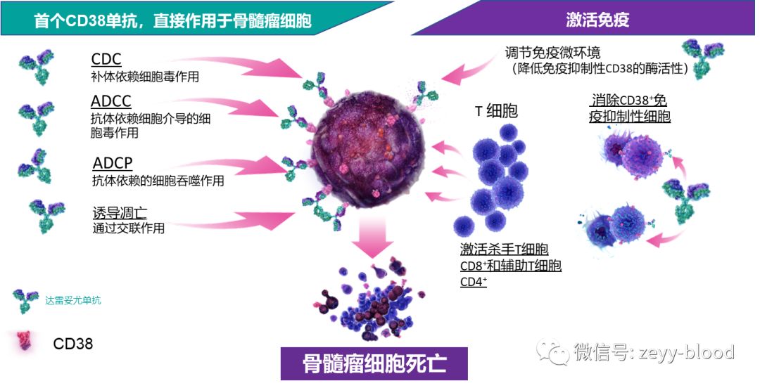 达雷妥尤单抗疗效如何,达雷妥尤单抗进医保自己出多少钱