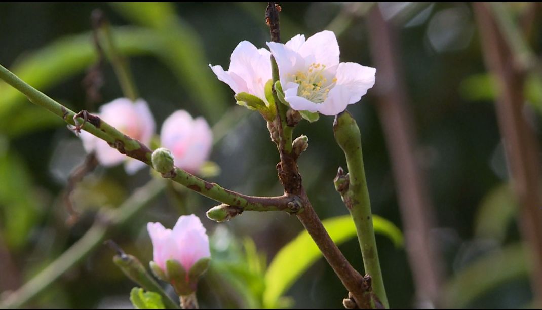 都是天气惹的祸大结局,都是天气变冷惹的祸