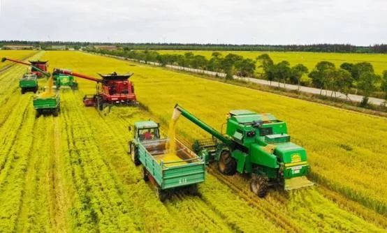 光明新大米,光明米业怎样