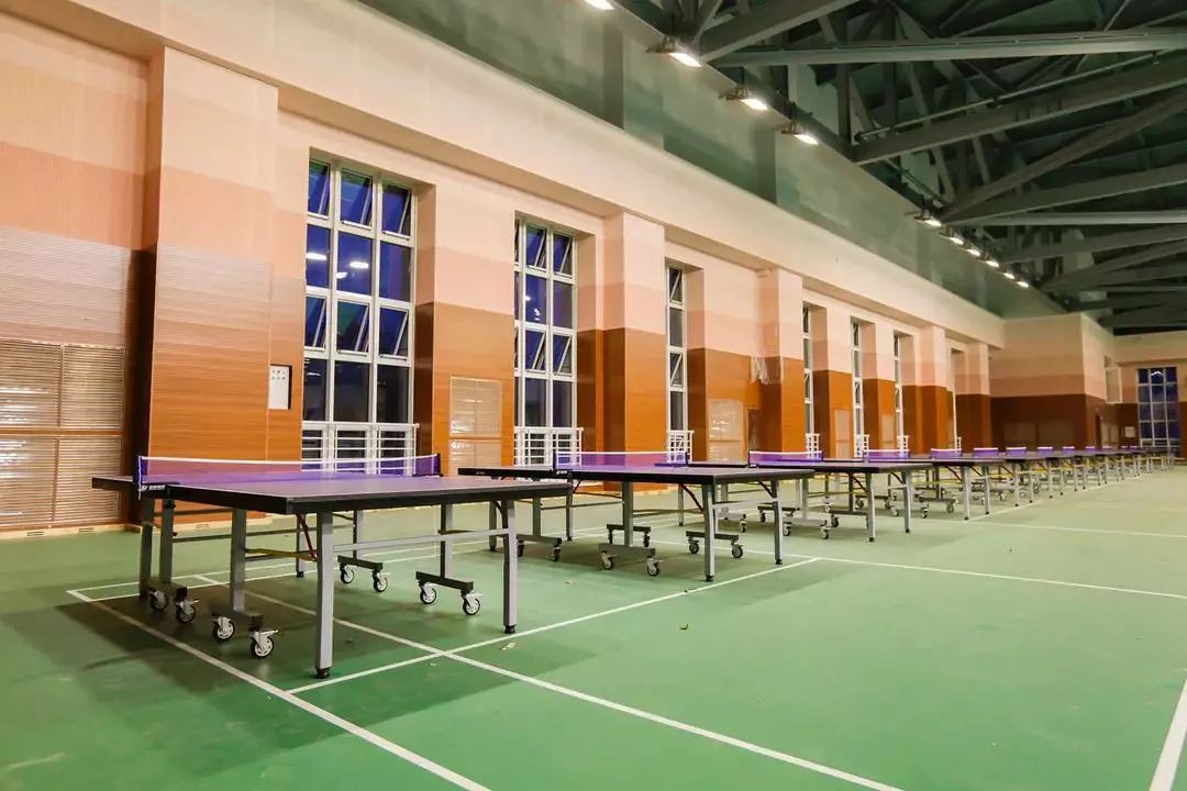 哈工程青岛体育馆,多图来袭