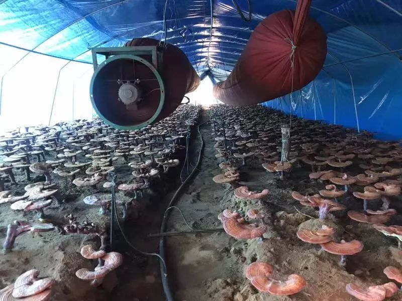 有没有两人一起泡温泉的地方,和伙伴们一起泡温泉