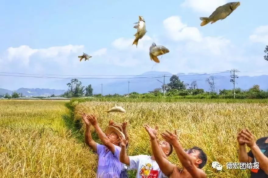 有种美叫德宏的美,镜语