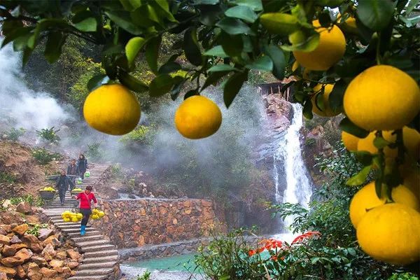 山海寻味玉环领鲜,山海寻味店