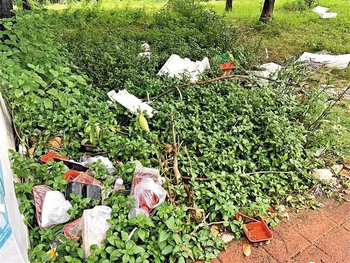 不文明行为随手拍持续曝光脏乱差,不文明行为曝光台机动车乱停乱放