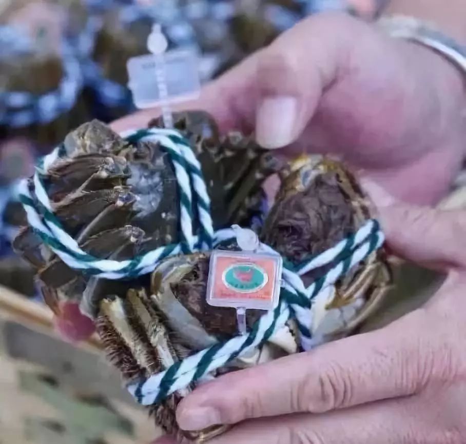 闃虫緞婀栬煿鎵ｆ樉绀轰粈涔堟墠鏄瀹楃殑,鍝噷鑳戒拱鍒伴槼婢勬箹锜规墸