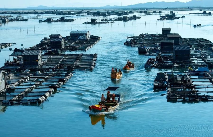 福建漳州为什么今年这么冷,福建漳州为什么老是半夜零点左右放鞭炮