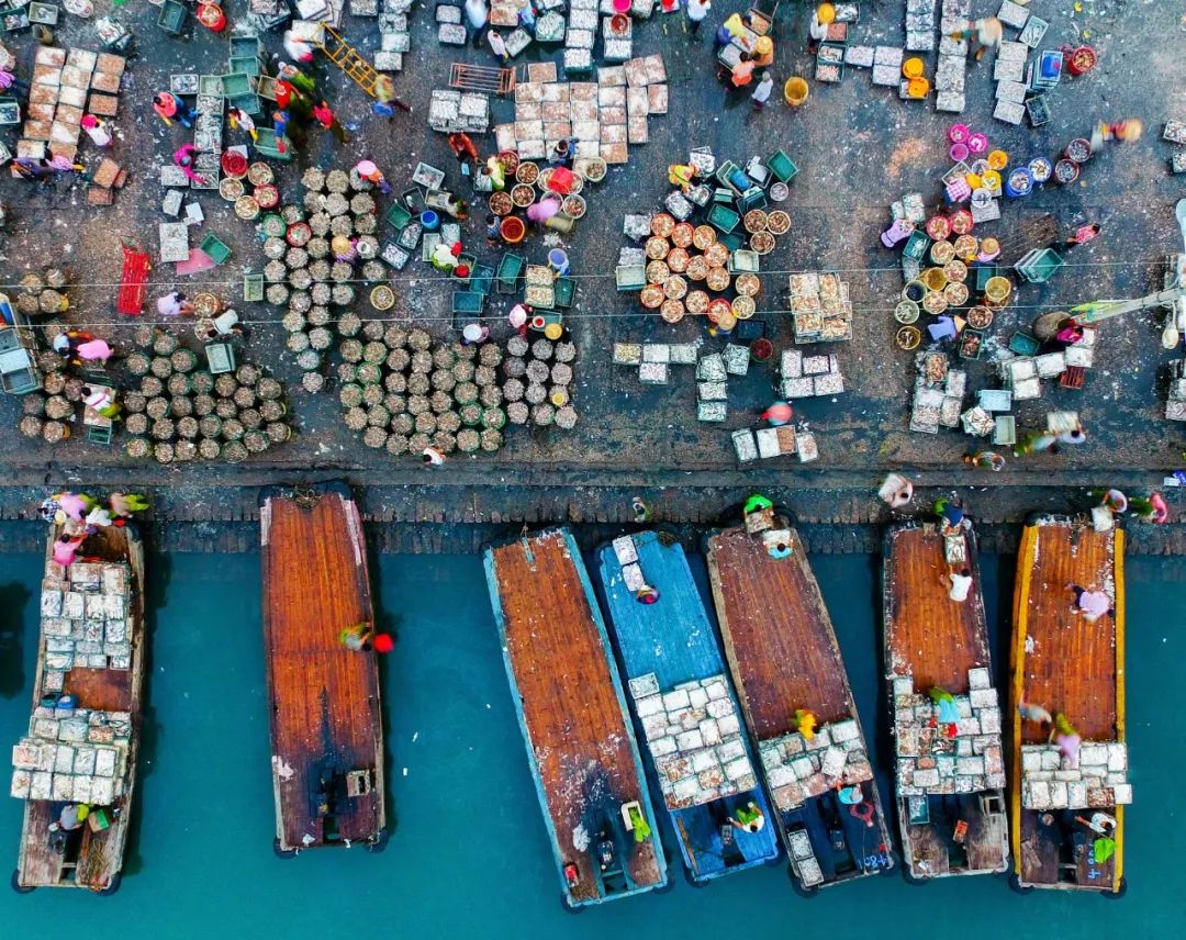 福建漳州为什么今年这么冷,福建漳州为什么老是半夜零点左右放鞭炮