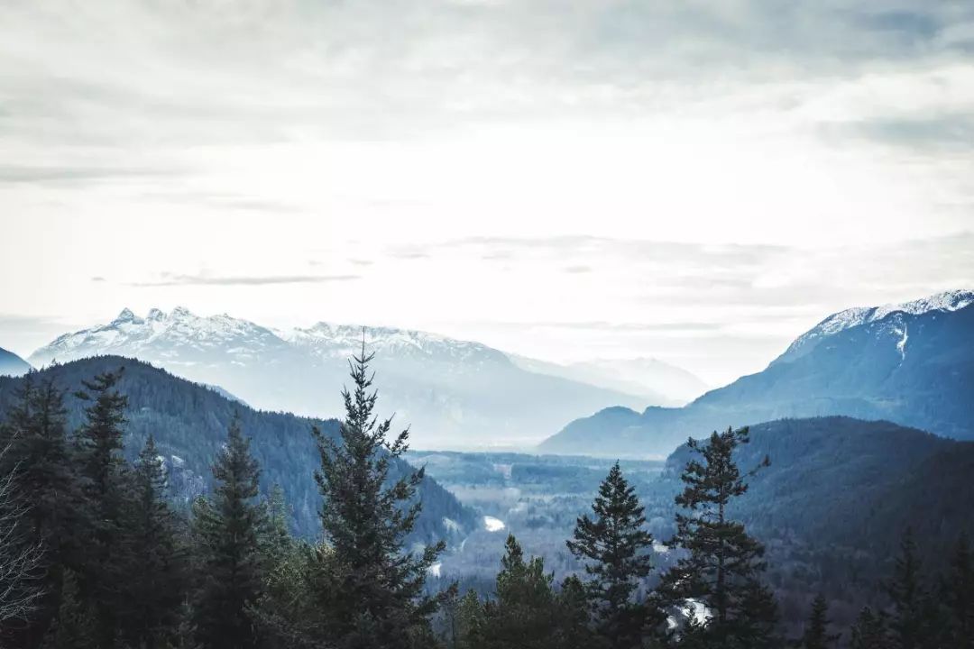 璇楄瘝涓毦璇荤殑20涓瓧,璇楄瘝涓渶甯歌100涓瓧