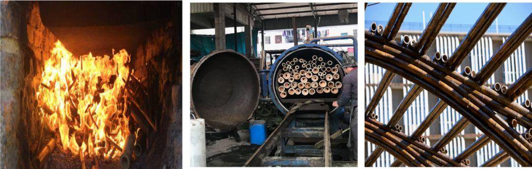 竹子的优点有哪些,竹子很有营养吗