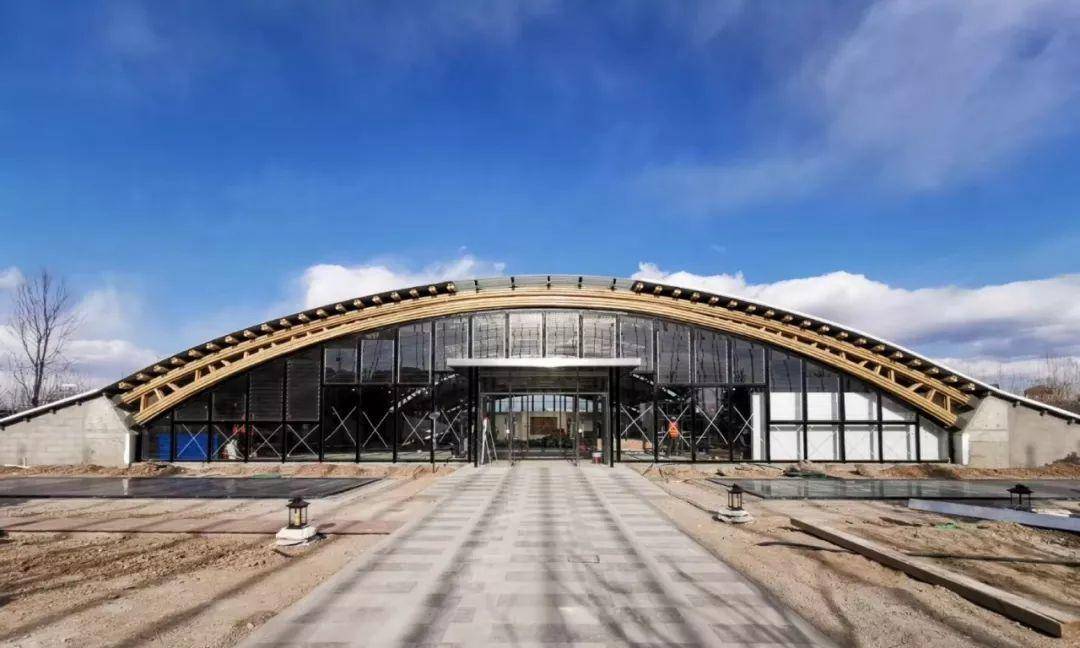 竹子的优点有哪些,竹子很有营养吗