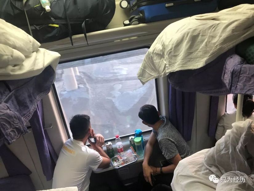 博格达雪莲,博格达天山雪莲