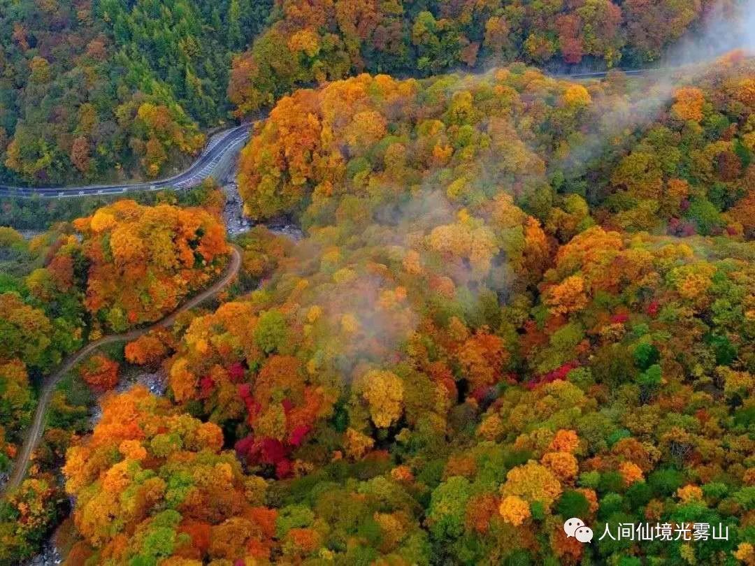 最美川西看彩林推荐地,美哭了这才是虹口秋天最美的地方