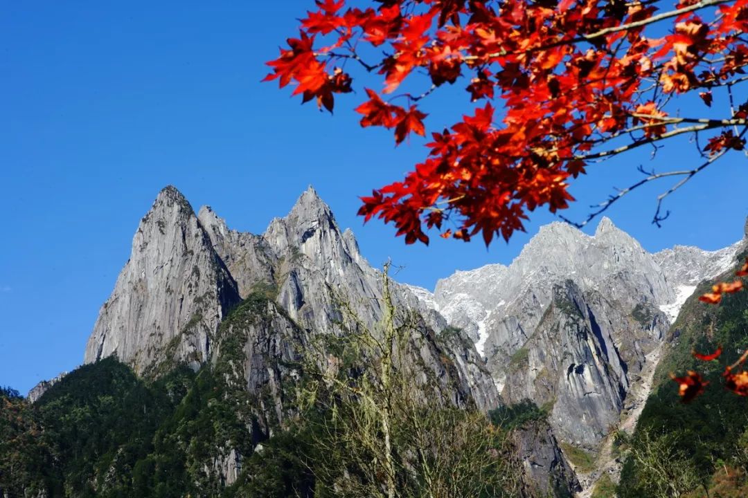秋天的川西彩林,川西彩林最佳观赏地点