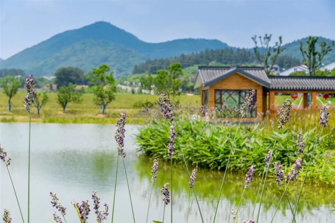 常州周末旅游景点推荐,常州最美乡村