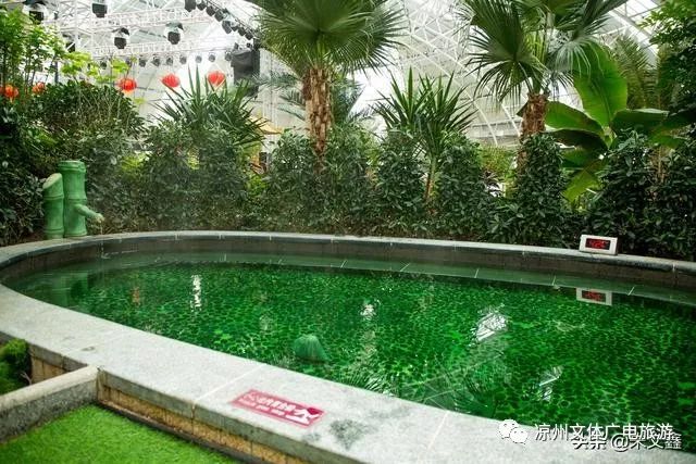 武威温泉度假村需要准备什么,武威温泉度假村冬天去怎么样