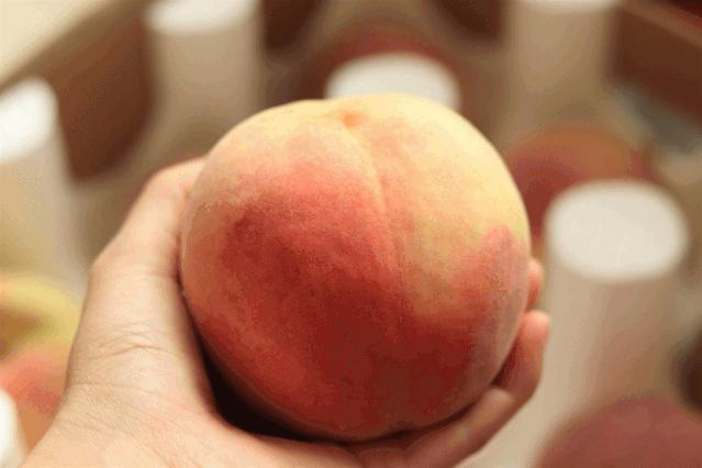 这桃子真甜,比金秋红蜜还好吃的桃子