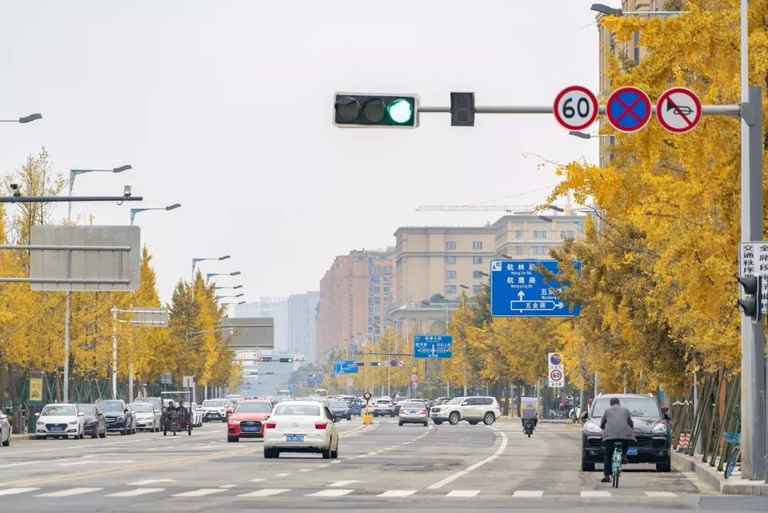 粉黛乱子草网红打卡地成都免费,美到炸网红粉黛乱子草就在双流