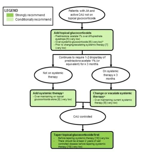 幼年特发性关节炎相关葡萄膜炎,幼年特发性关节炎ana阳性
