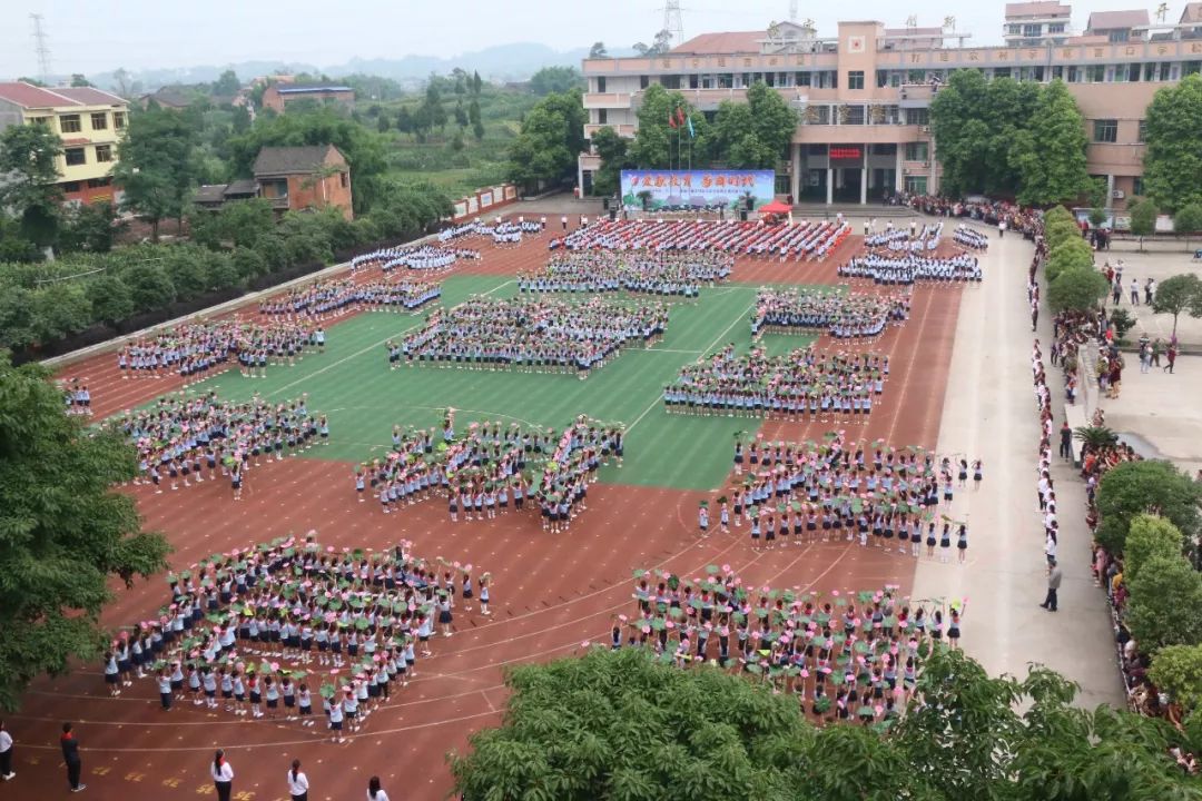 马路对面是学校环境怎么样,马路对面学校真实照片