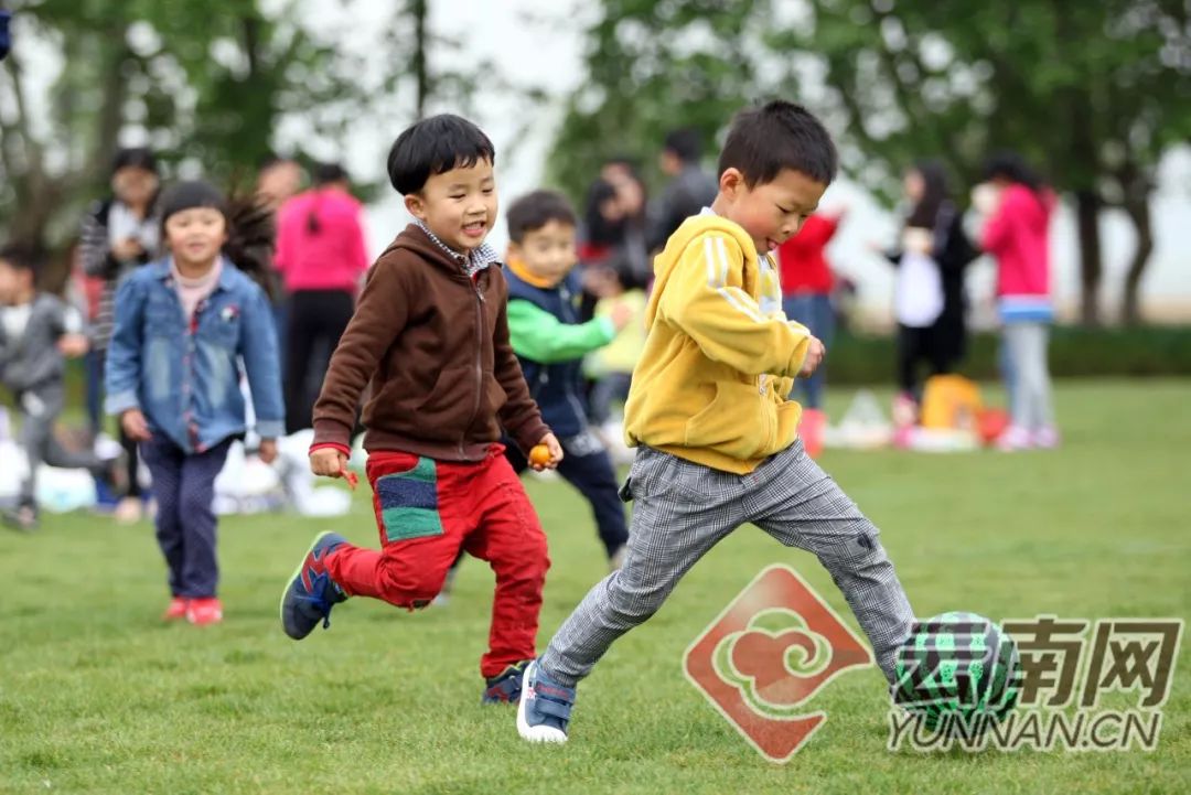 曲靖优秀学校申报,曲靖市特殊教育学校有哪些