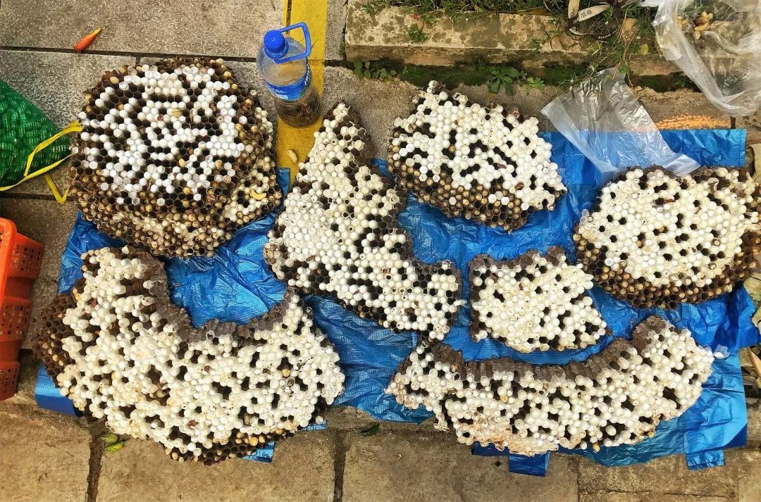 西双版纳傣族赶街视频,勐腊县勐仑镇赶街