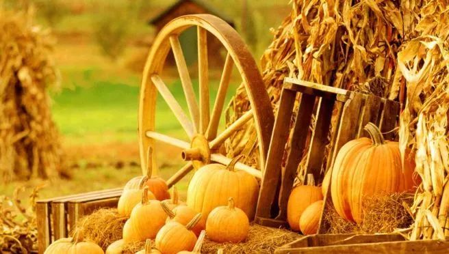 直播预告│明天上午!店前镇第五届农*运民**动会暨首届边贸地方文化节开幕