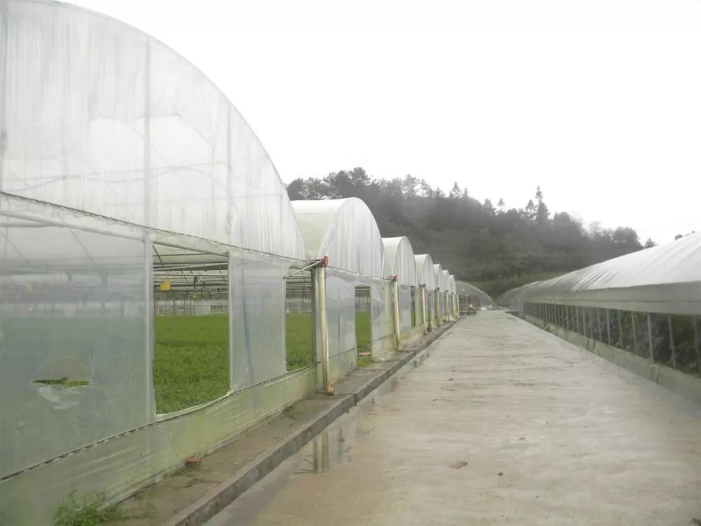 重庆乡村振兴大赛,重庆乡村振兴创业大赛