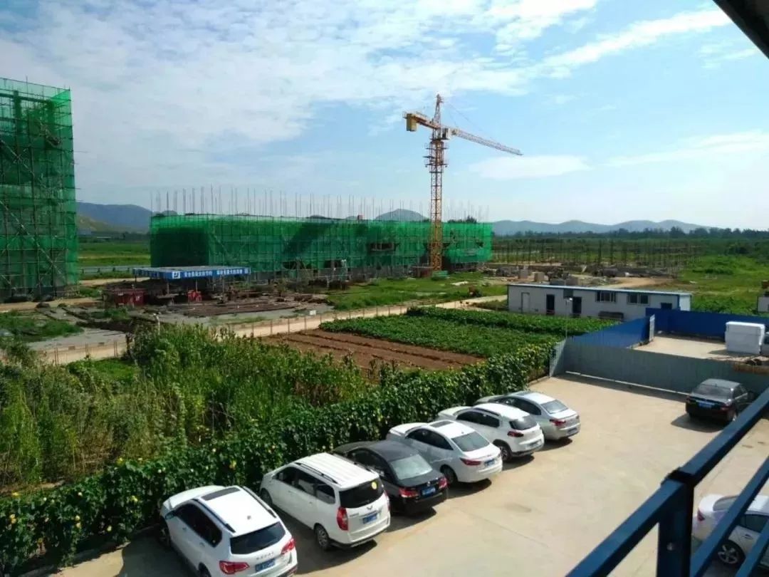 保定天鹅何以能展翅高飞？转型升级给出答案