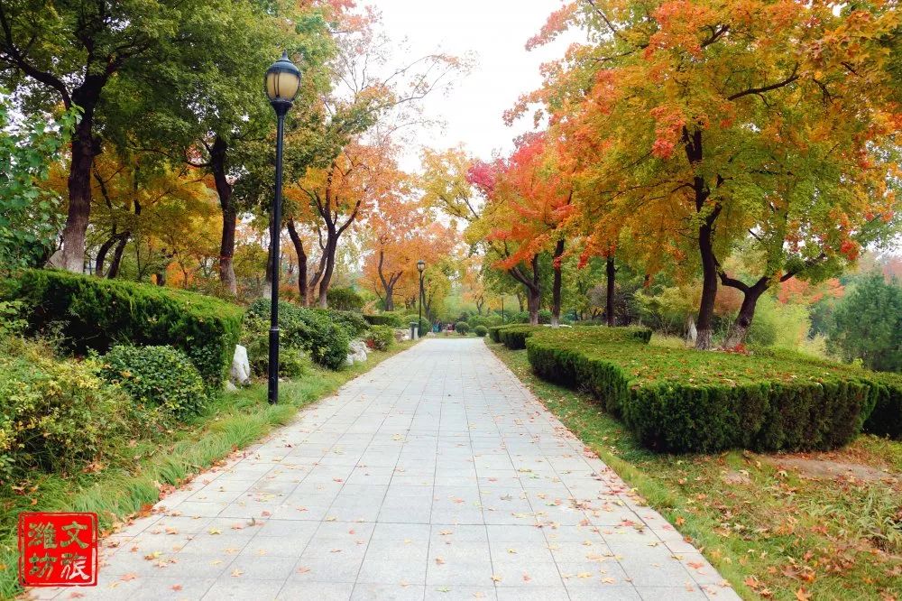 钟灵毓秀的优美词句,钟灵毓秀文章