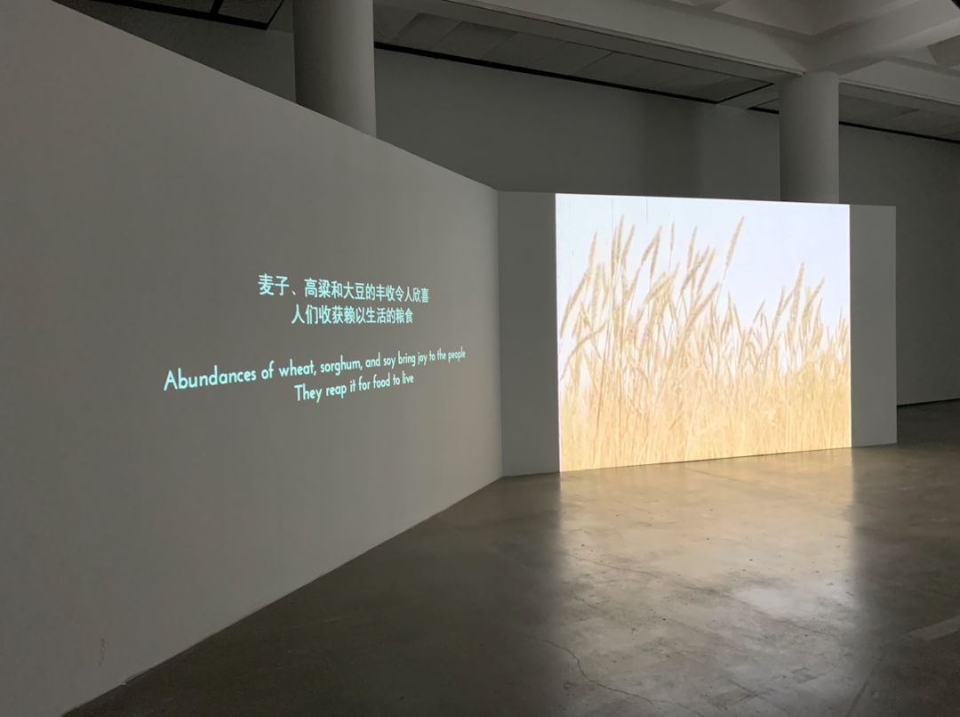 澶栨哗缇庢湳棣嗚壓鏈,澶栨哗缇庢湳棣嗕簹娲叉柊閿愯壓鏈