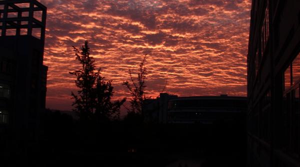 在宁波生活是怎样的体验,在宁波读书的真实感受