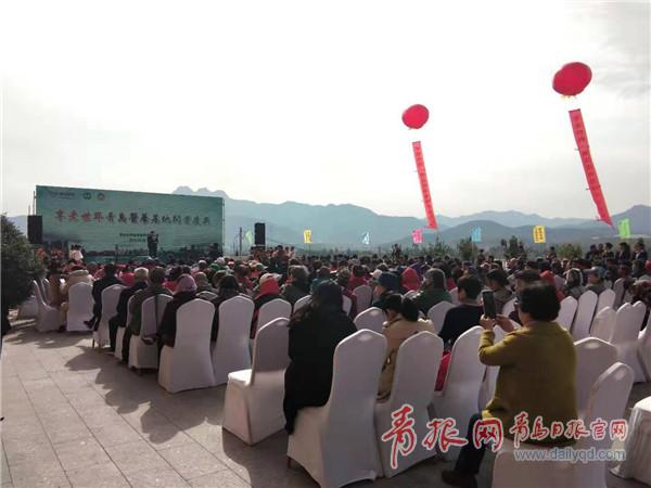 即墨康养中心,即墨泰康医养养老院