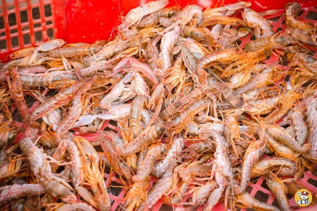 小港码头有蛏子吗,小港码头吃海鲜俱乐部电话