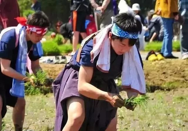 学习日本农业：超前思维，敬畏自然，死磕单品