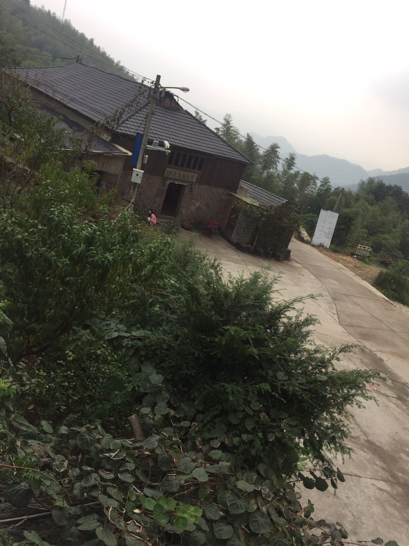 好久未发说说,好久没发过朋友圈的句子