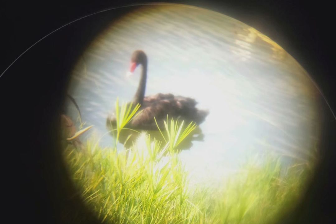 川大必修课最新消息,川大有哪些必修课