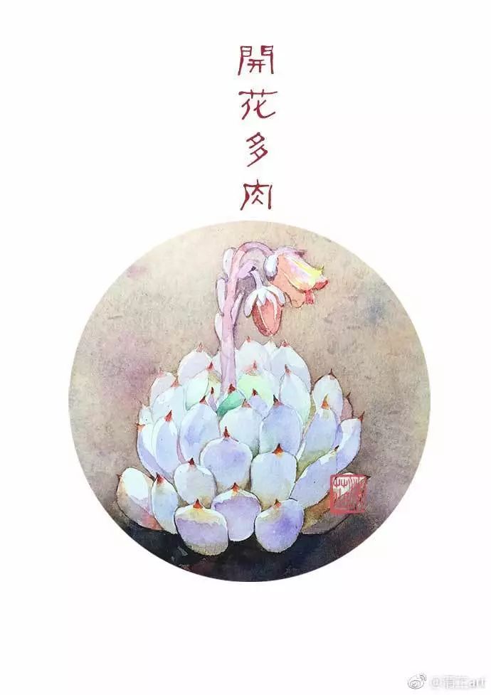 什么多肉不需要太强的光照,光照不足也能养的多肉