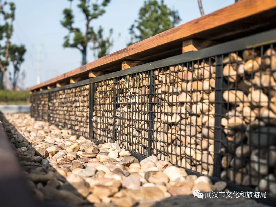 所有女生！江滩“上新”了秋游好去处